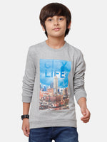 Kids - Boys Printed Sweatshirt Grey Melange