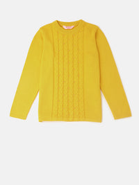PIPIN Girls Sweater Sweat Shirt Solid Cotton Yellow - De Moza
