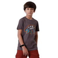 Pack of 2 Pipin Boys T-shirt Spicy Mustard & Dark Grey