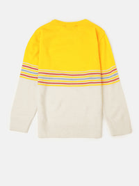Kids - Boys Winter Sweatshirt Yellow