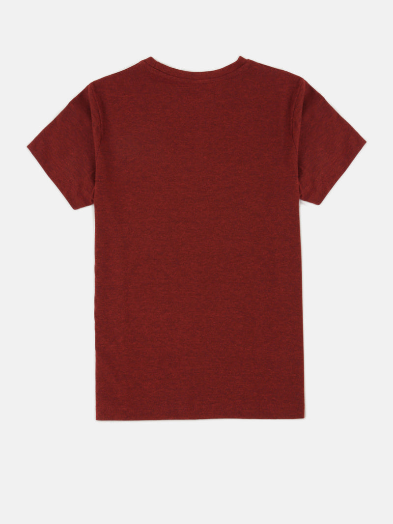 PIPIN Boys Printed T-shirt Red Melange
