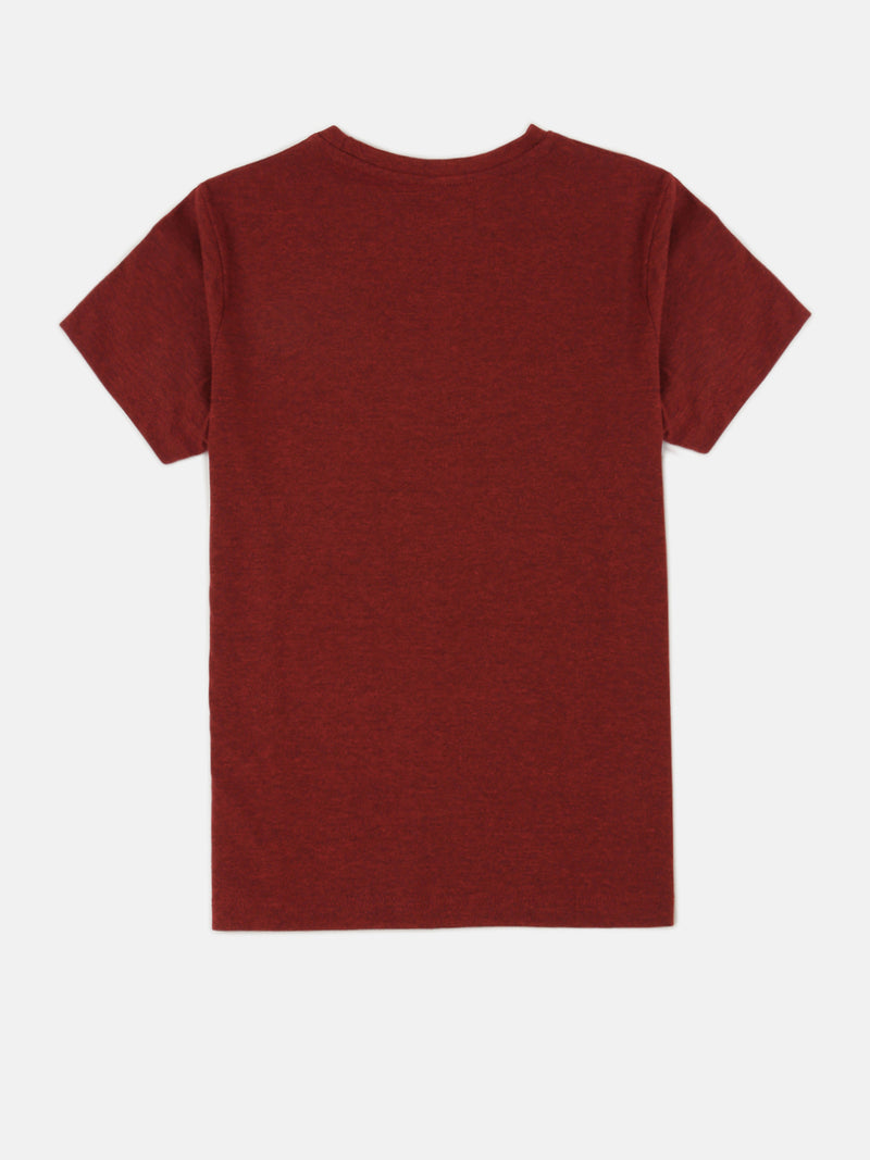 PIPIN Boys Printed T-shirt Red Melange
