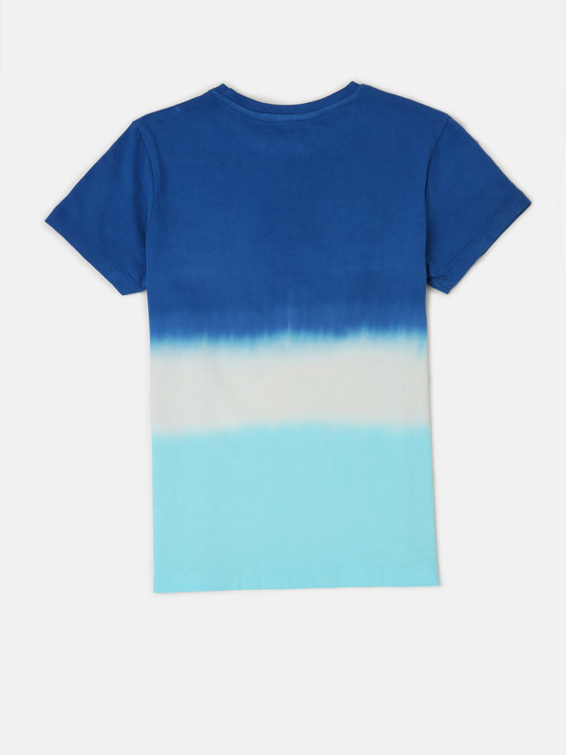 PIPIN Boys Printed T-shirt Light Blue